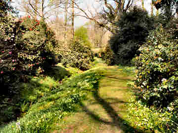 Gardens