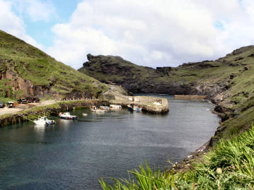 The Cornish Coast Path — photograph 11