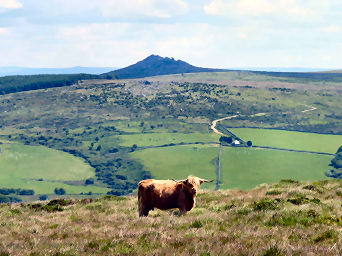 Bodmin Moor Walks — photograph 43