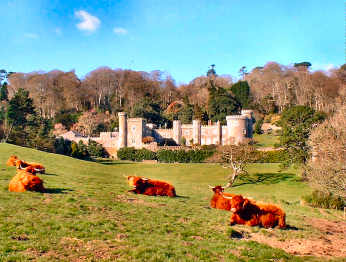 Caerhays Castle