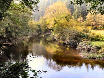 The Camel Trail — photograph 4