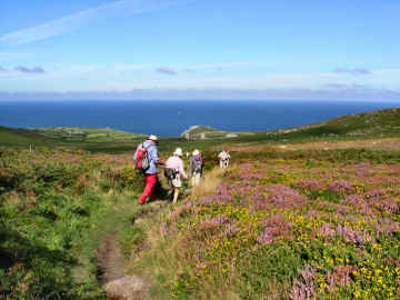 Online Mapping - Cornwall Council's Mapping Web Site