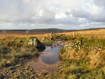 Bodmin Moor — photograph 16