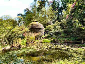 Cotehele Garden