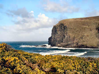 The Cornish Coast Path — photograph 2