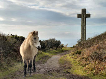 Coastal Round Walks — photograph 80