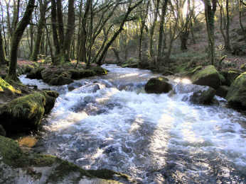 Rivers & Valleys — photograph 14