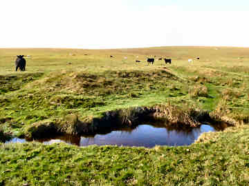 Bodmin Moor — photograph 23