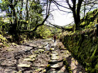 Bodmin Moor Walks — photograph 12
