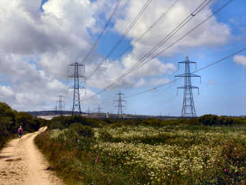 Oliver's Cornwall - Inland — recovered photograph 31