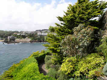 Headland Garden at Polruan (July 2020 - House for sale, garden closed)