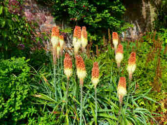 Heligan Re-visited September 2014