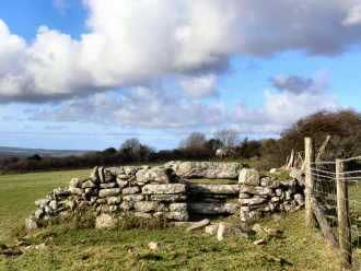 Cornish Stiles