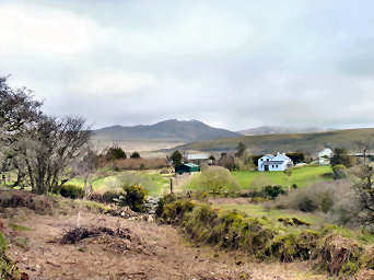 Inland Walks — photograph 23