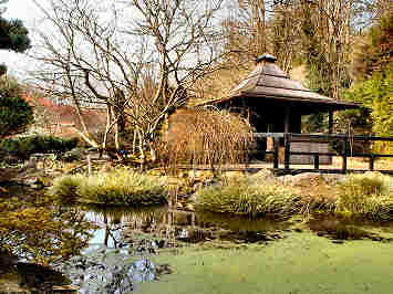 The Japanese Garden at St. Mawgan