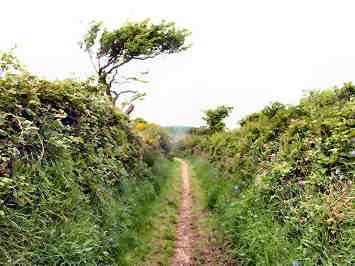 The Saints' Way — photograph 10