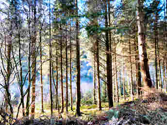 Inland Walks — photograph 48
