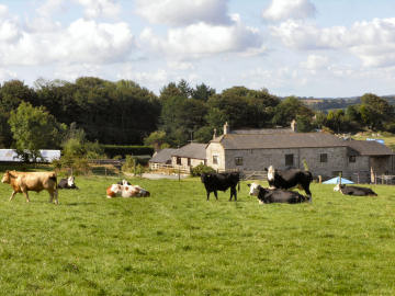 Oliver's Cornwall - Land's End Trail — recovered photograph 14