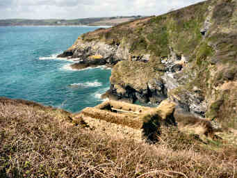 The Cornish Coast Path — photograph 76
