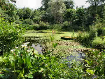 Marsh Villa near St. Blazey