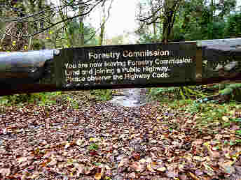 Inland Walks — photograph 47