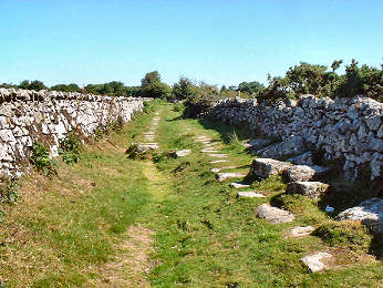 Bodmin Moor Walks — photograph 11