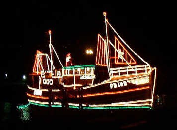 Christmas Lights at Mousehole and Newlyn — photograph 1