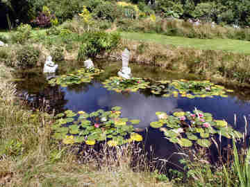 Northwood Farm Water Garden near St. Neot