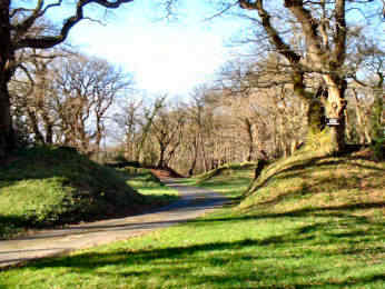 Pencarrow Iron Age Hill Fort