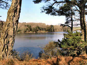 Oliver's Cornwall - Inland — recovered photograph 50