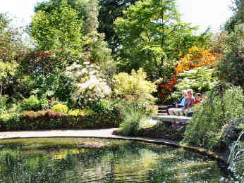 Pine Lodge Garden and Pinetum Park