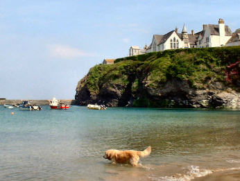 The Cornish Coast Path — photograph 19
