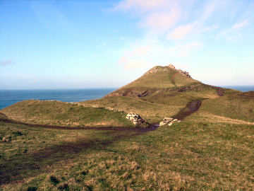 The Rumps