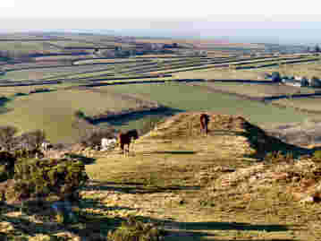 Bodmin Moor — photograph 24