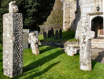 Cornish Crosses