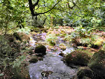Trebartha Estate