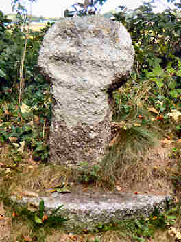 Tregaminion — photograph 2