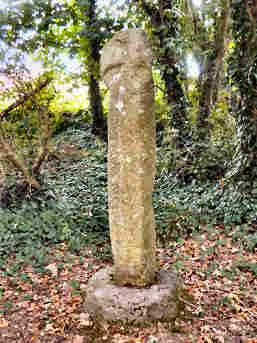 Tregaminion