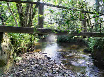 The Saints' Way — photograph 7