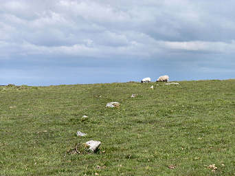 Bodmin Moor Walks — photograph 24