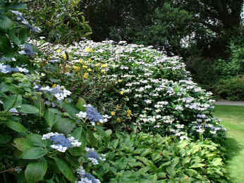 Trelissick Garden