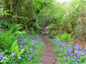 The Saints' Way — photograph 15