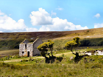 Bodmin Moor Walks — photograph 44